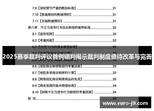 2025赛季裁判评议首例错判揭示裁判制度亟待改革与完善