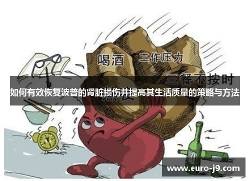 如何有效恢复波普的肾脏损伤并提高其生活质量的策略与方法