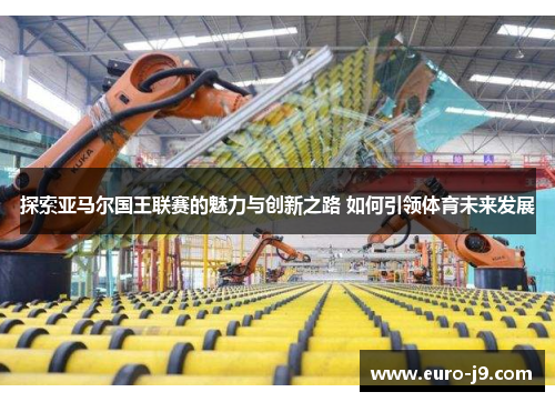探索亚马尔国王联赛的魅力与创新之路 如何引领体育未来发展