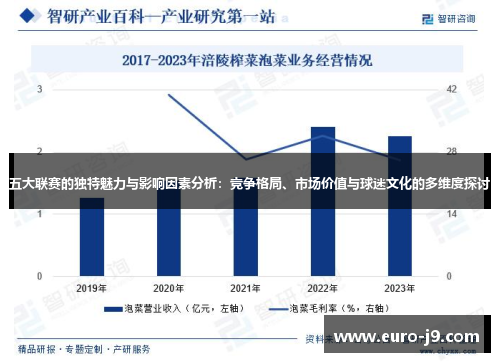 五大联赛的独特魅力与影响因素分析：竞争格局、市场价值与球迷文化的多维度探讨