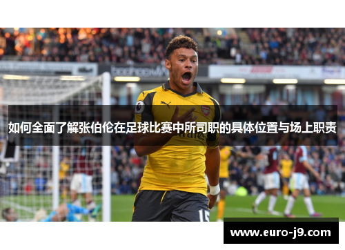 如何全面了解张伯伦在足球比赛中所司职的具体位置与场上职责